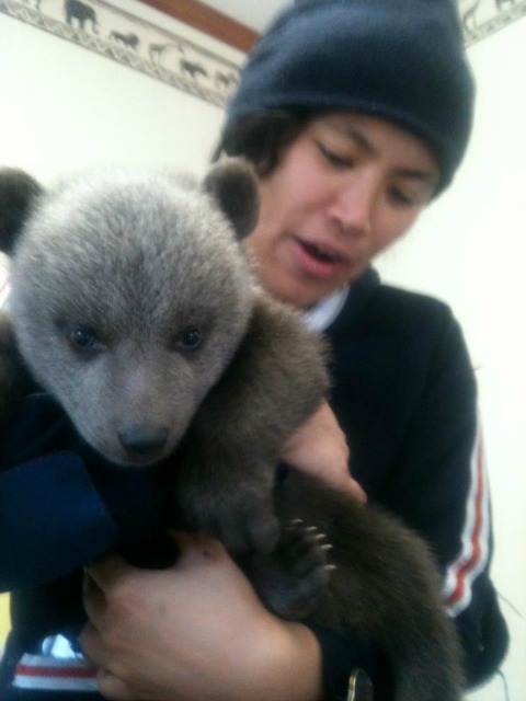 April with bear